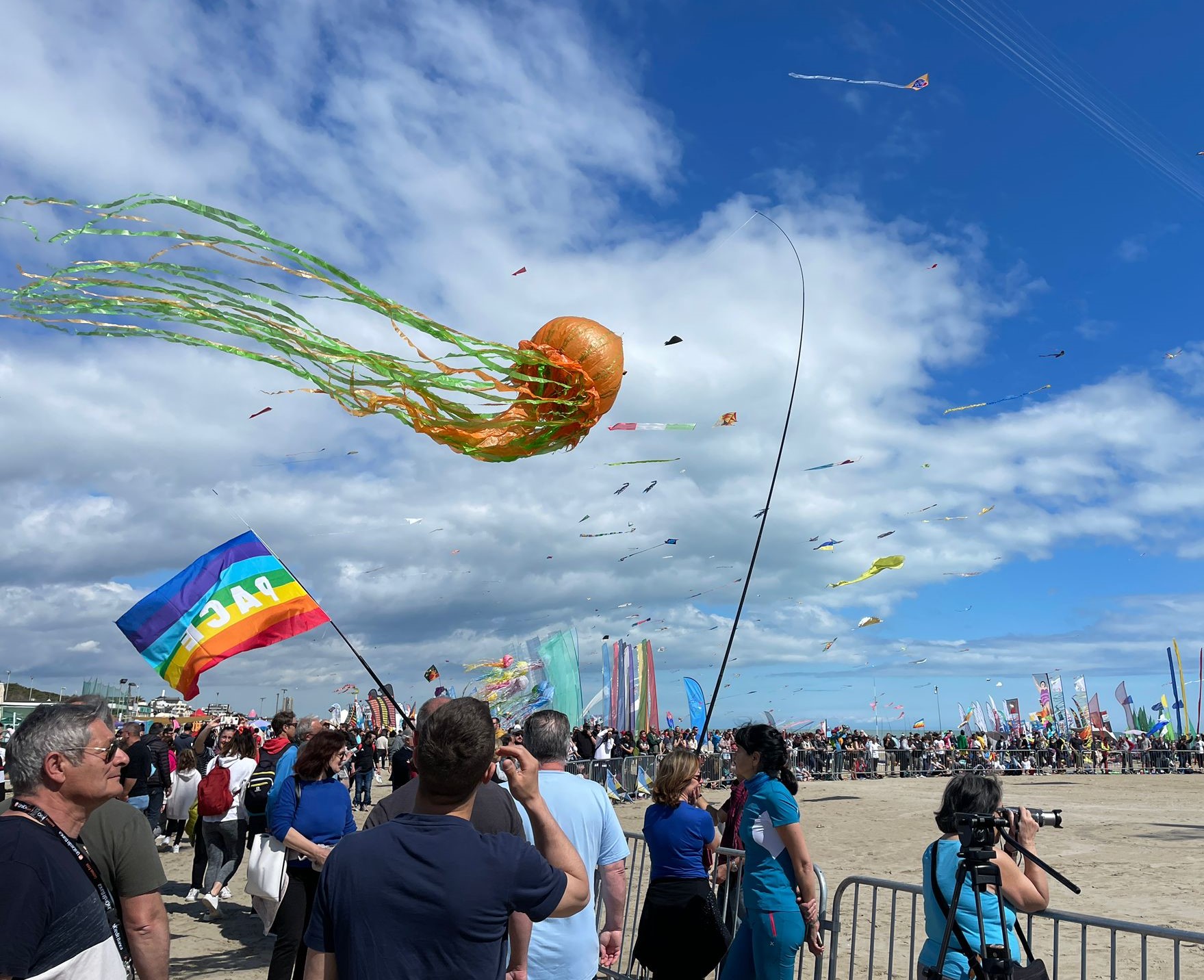 FESTIVAL ARTEVENTO, LA MAGIA DEGLI AQUILONI DEL CIELO DI CERVIA - Tv Qui  Modena